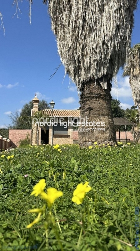 Gran villa, casa de invitados, producción de aguacates