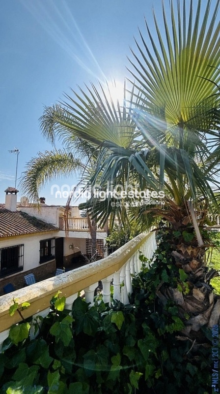 Gran villa, casa de invitados, producción de aguacates