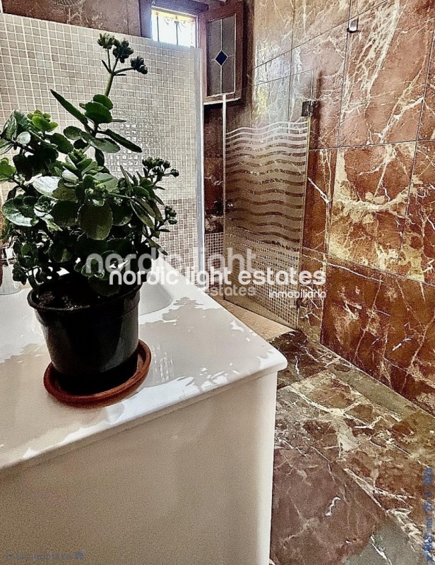 Large villa, guest house, avocado plantation