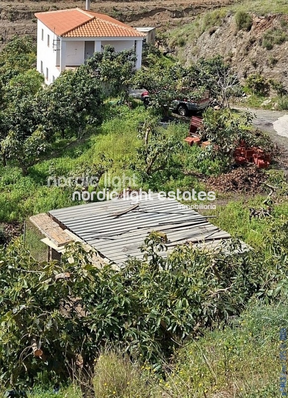 Finca rústica de 23.600 m2 en plena producción con gran casa para terminar