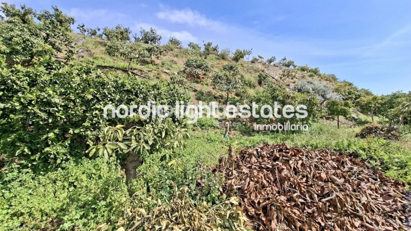 Finca rústica de 23.600 m2 en plena producción con gran casa para terminar