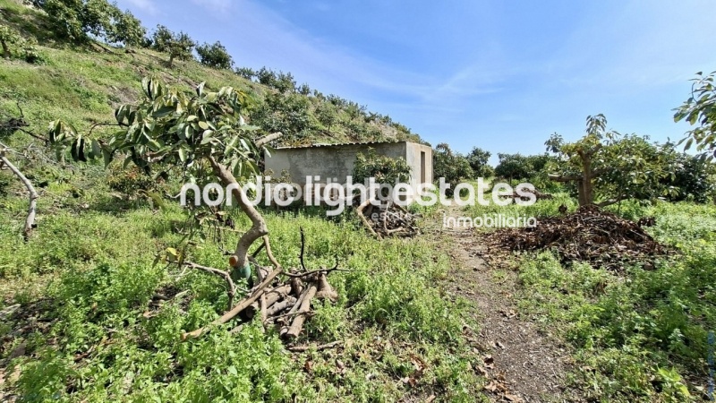 Finca rústica de 23.600 m2 en plena producción con gran casa para terminar