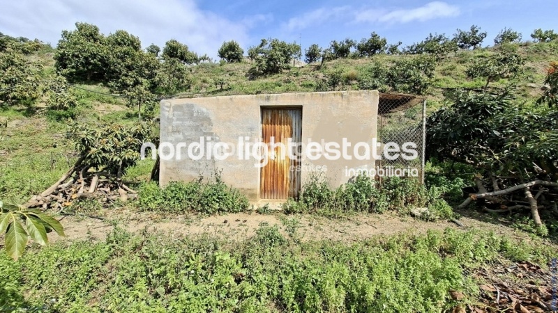 Finca rústica de 23.600 m2 en plena producción con gran casa para terminar