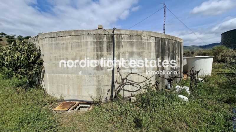 Finca rústica de 23.600 m2 en plena producción con gran casa para terminar