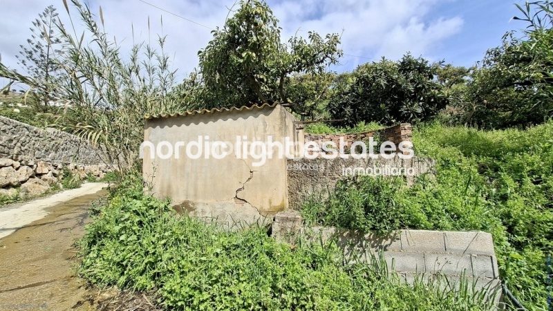 Finca rústica de 23.600 m2 en plena producción con gran casa para terminar