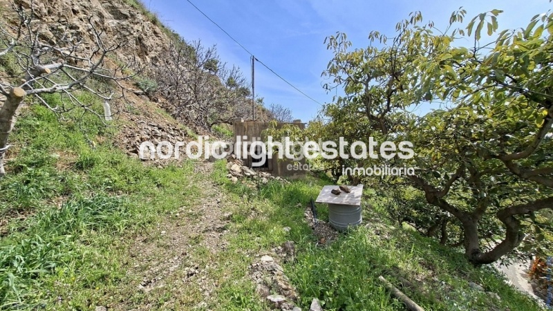 Finca rústica de 23.600 m2 en plena producción con gran casa para terminar