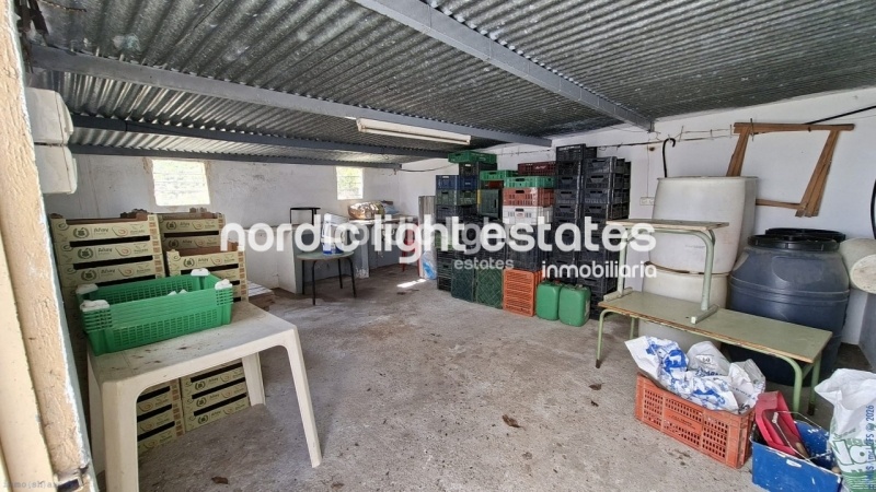 Finca rústica de 23.600 m2 en plena producción con gran casa para terminar