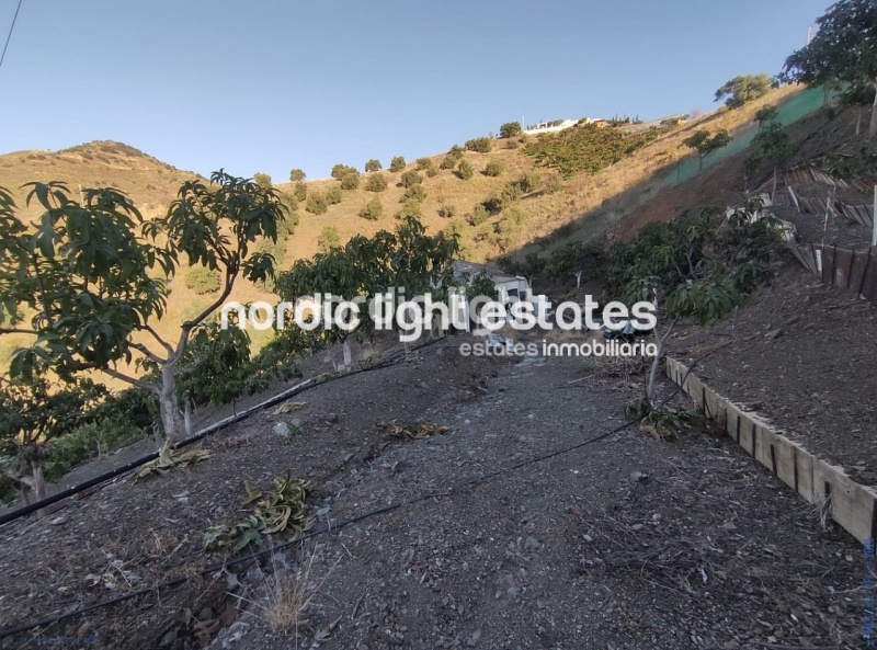 Spacious countryside house with two independent dwellings