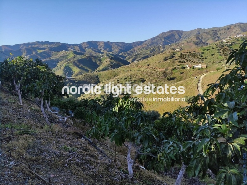 Spacious countryside house with two independent dwellings