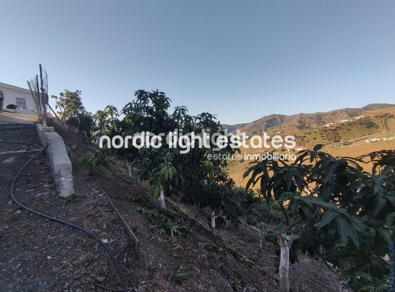 Spacious countryside house with two independent dwellings