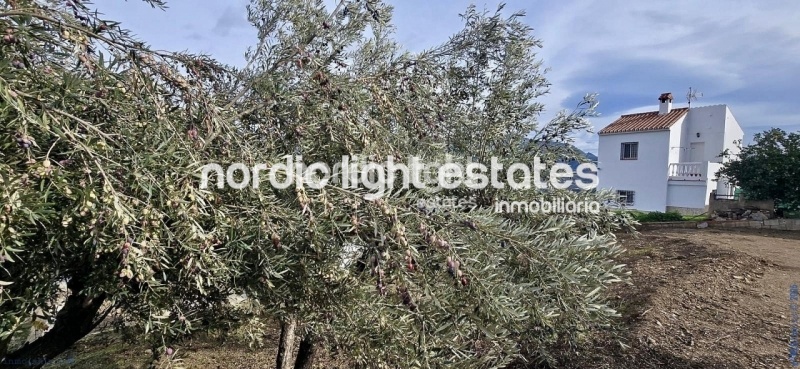 Outstanding opportunity. Reduced from 315k to 262k