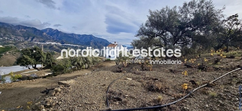 Outstanding opportunity. Reduced from 315k to 262k