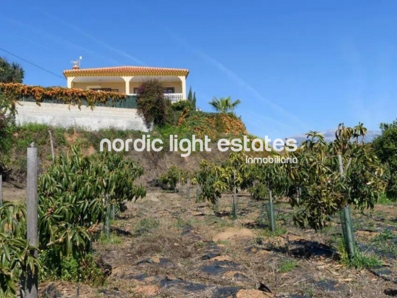 Lovely and very spacious villa with a guest apartment