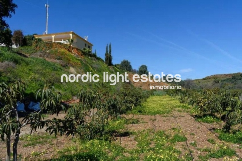 Lovely and very spacious villa with a guest apartment