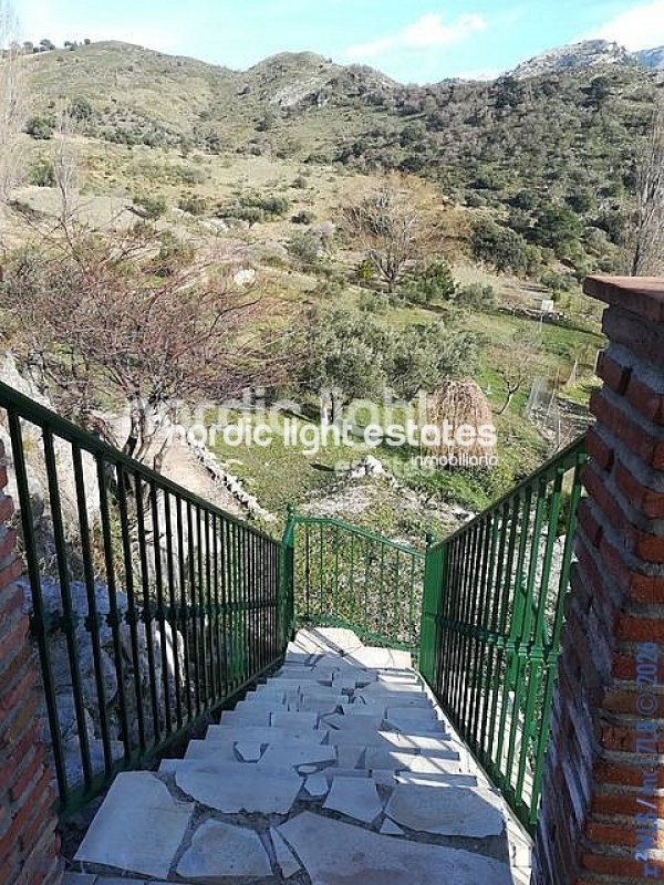 Charming and spacious country house 