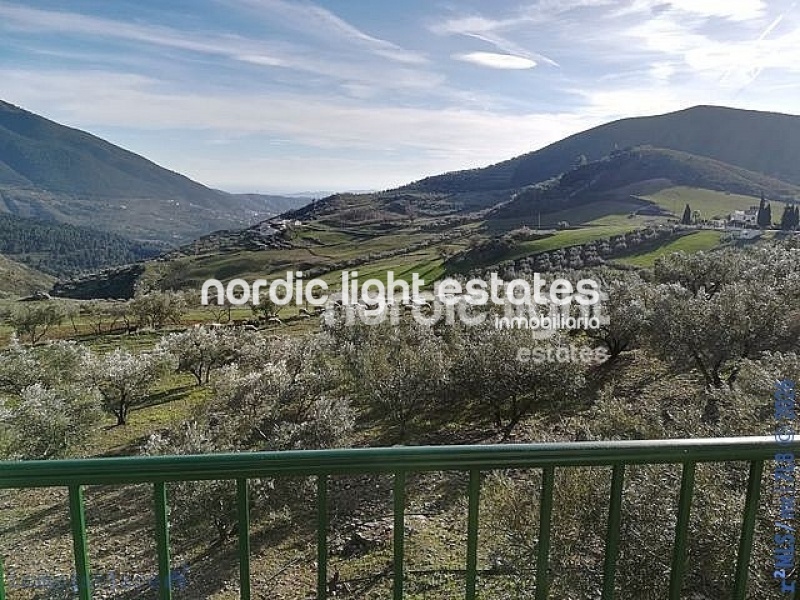 Charming and spacious country house 