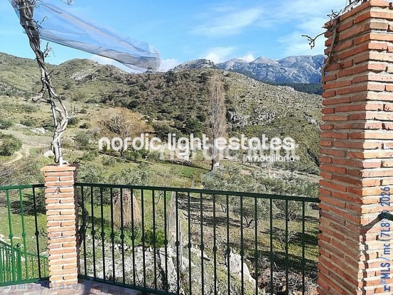 Charming and spacious country house 