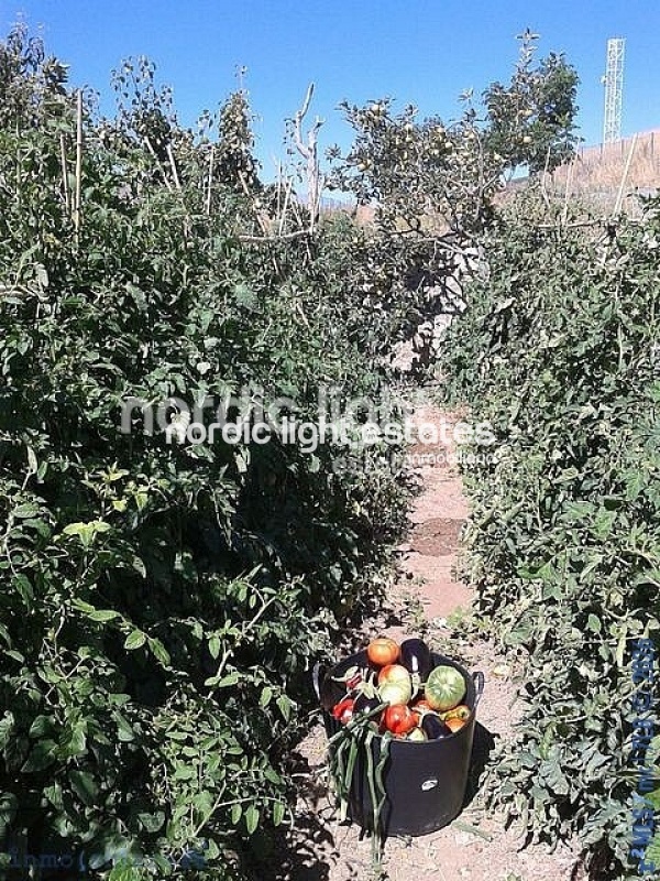 Charming and spacious country house 