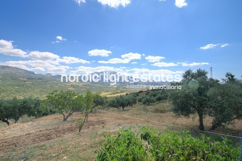 Exclusivo rancho ecuestre. Parcela de 22.000m2. Piscina y casa de invitados