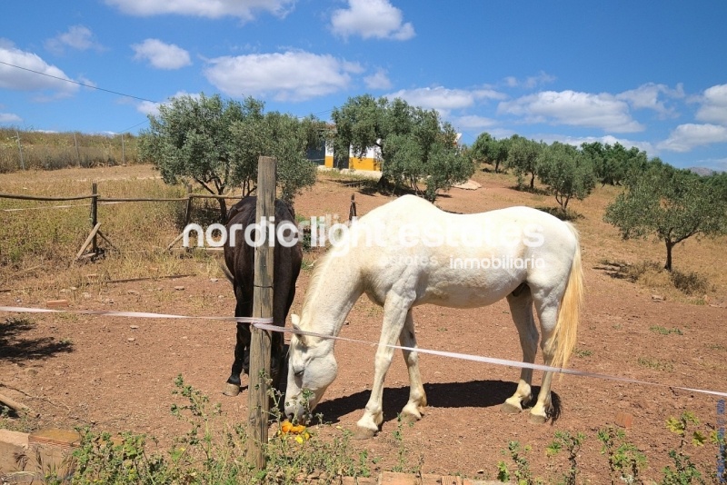 Exclusivo rancho ecuestre. Parcela de 22.000m2. Piscina y casa de invitados