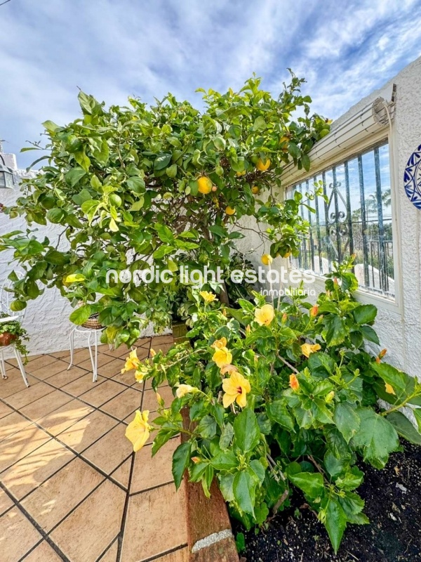 Apartment Nerja 2 beds