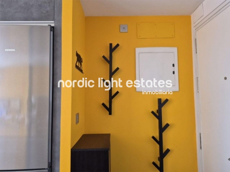 Designer apartment next to Huelin beach